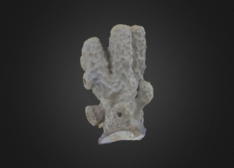 Thumb 6