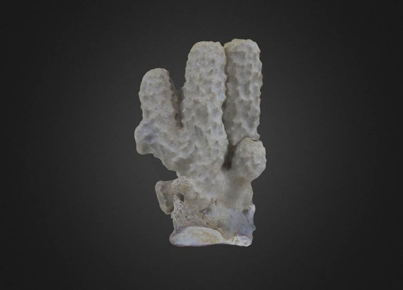 Thumb 7