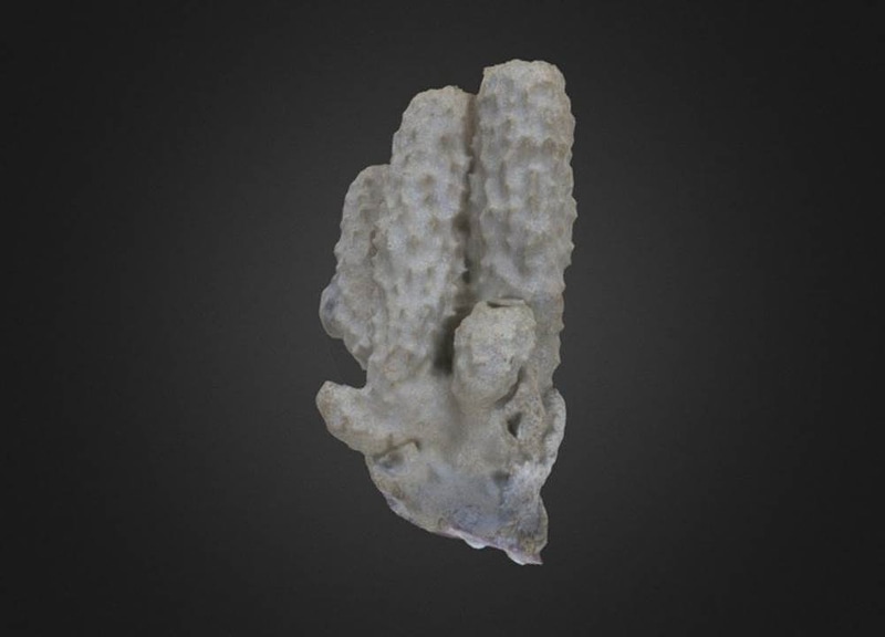 Thumb 9