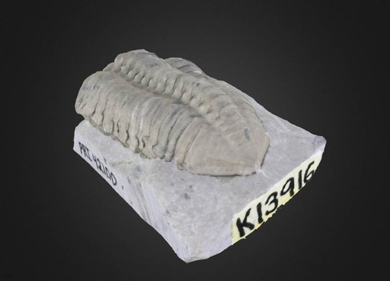 Thumb 1