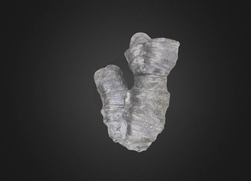 Thumb 9