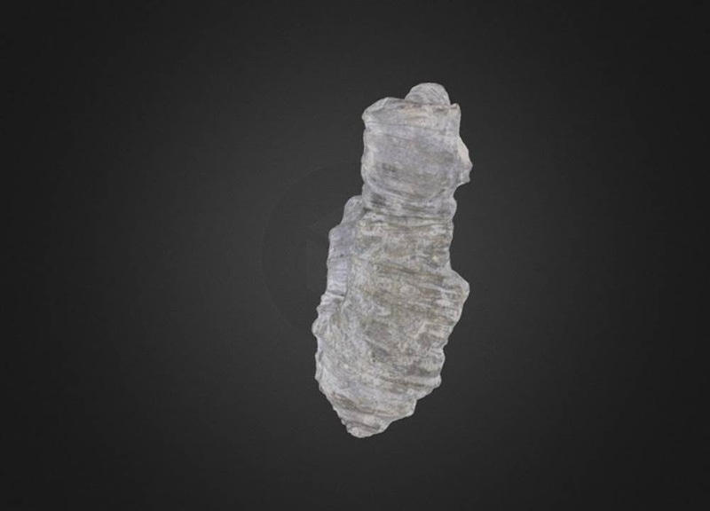 Thumb 11