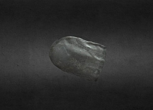 image_processing20200609-28091-1lbcbhy.jpeg