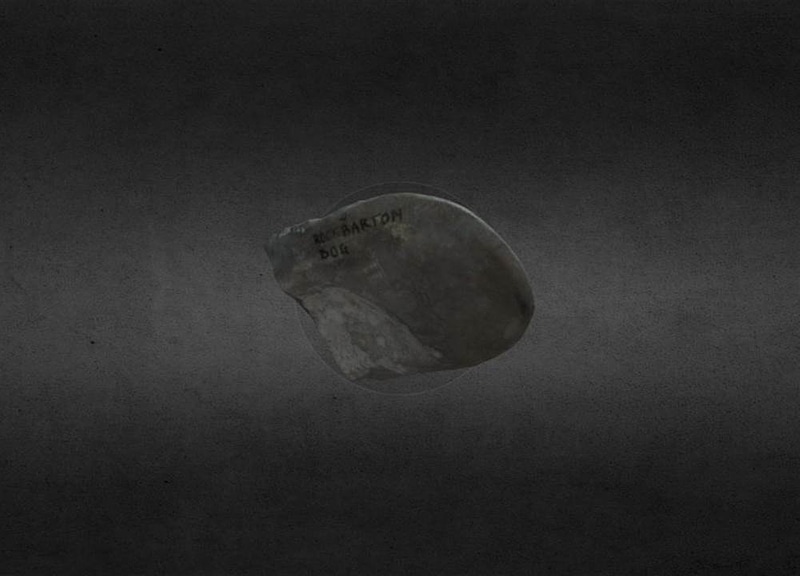 Thumb 9
