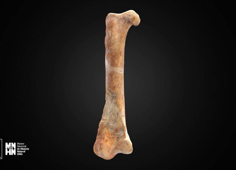 Thumb 8