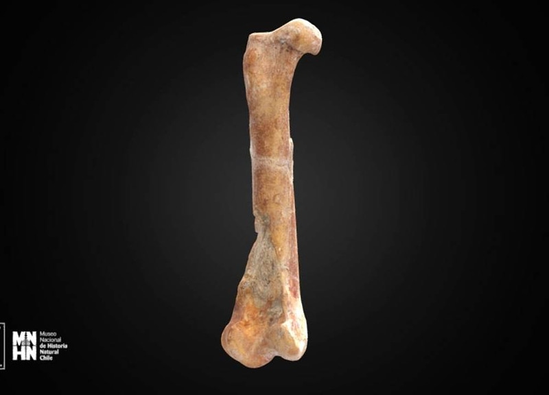 Thumb 9