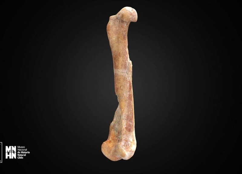 Thumb 10