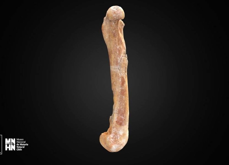 Thumb 11