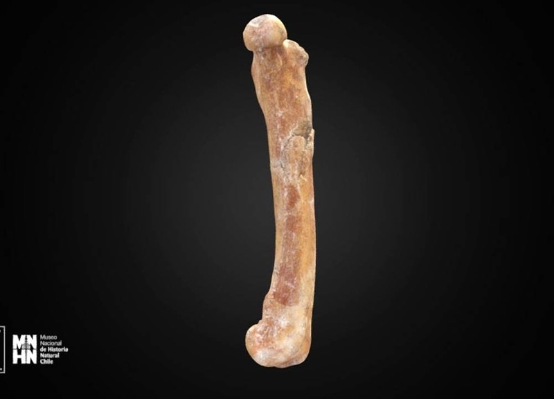 Thumb 12