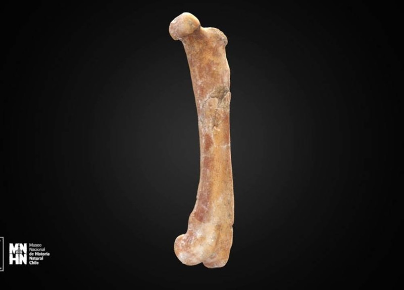 Thumb 13