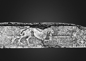 image_processing20200609-3023-1upirg8.jpeg
