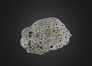 image_processing20200609-21361-1nle8pk.jpeg