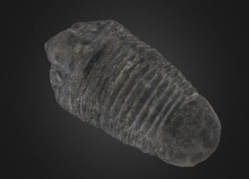 Thumb 1