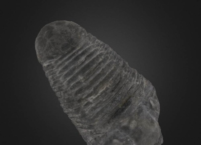 Thumb 9
