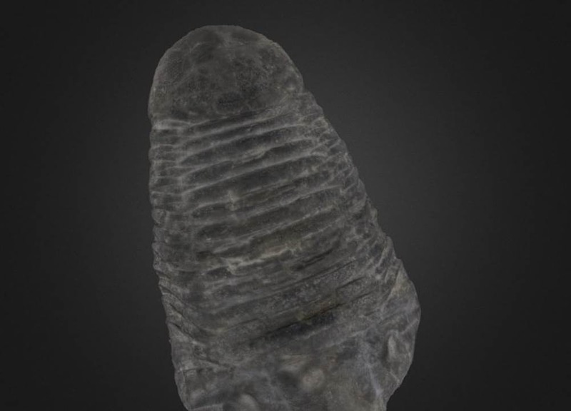 Thumb 10