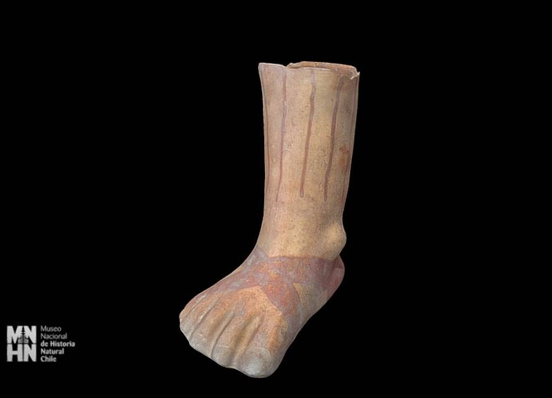 Thumb 14