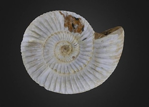 image_processing20200609-7252-qhv1yu.jpeg
