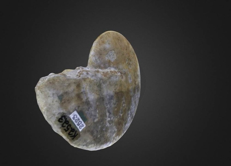 Thumb 6