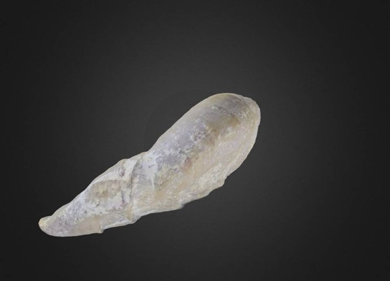 Thumb 6