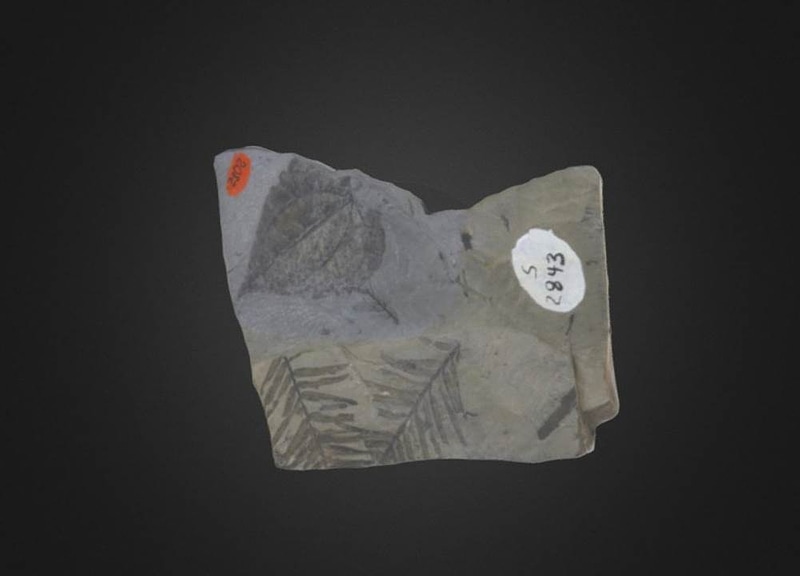 Thumb 1