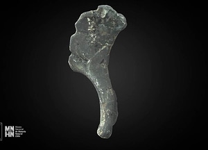 image_processing20200609-445-ty8y3z.jpeg