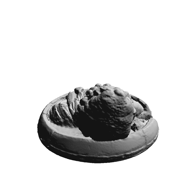 Thumb 1