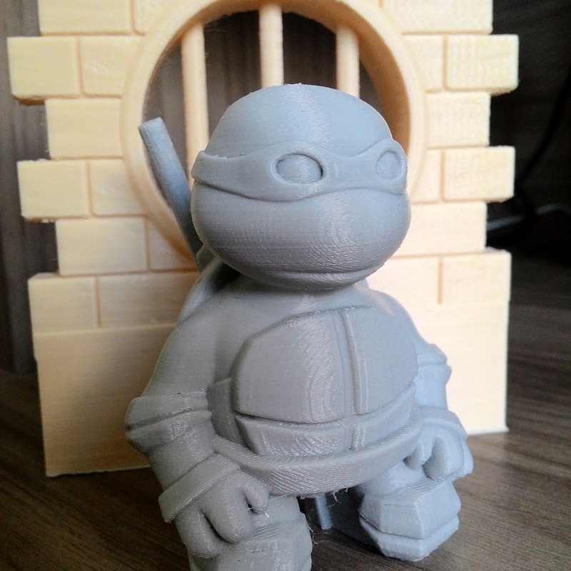Little Turtle Warrior 