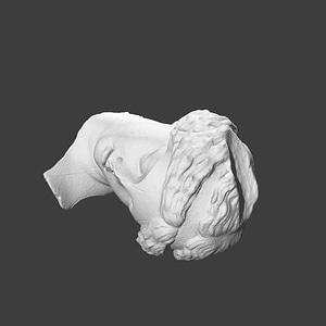 Thumb 15