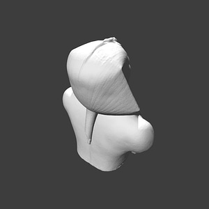 Thumb 7