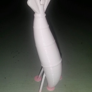Shrimp Hook