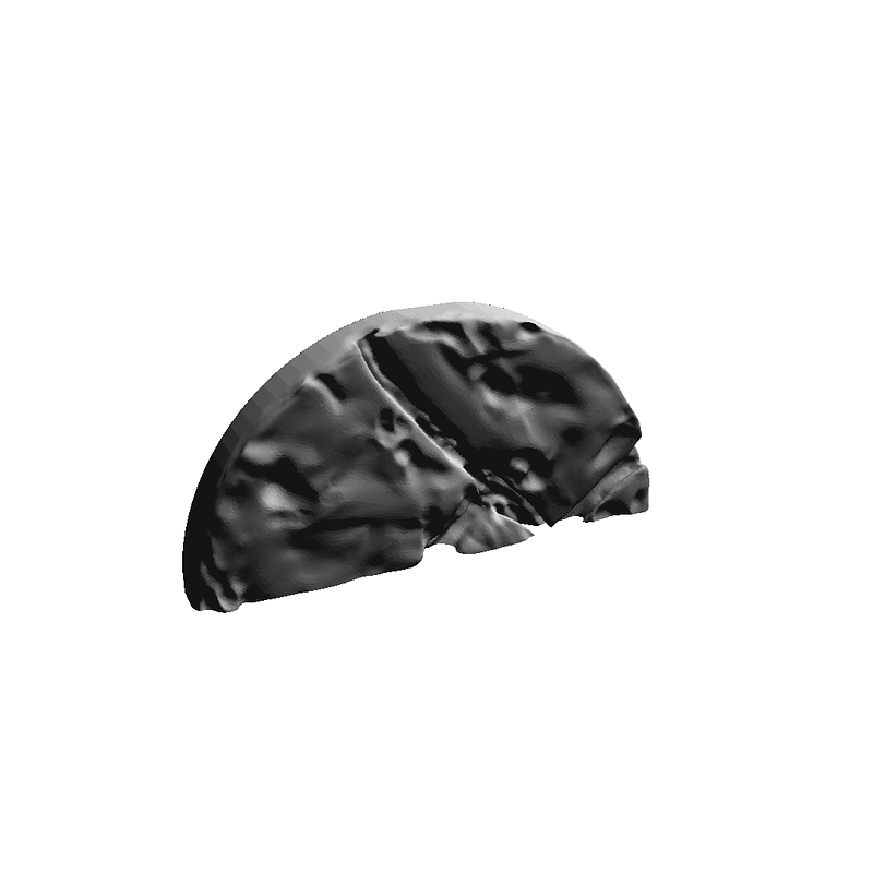 Thumb 1