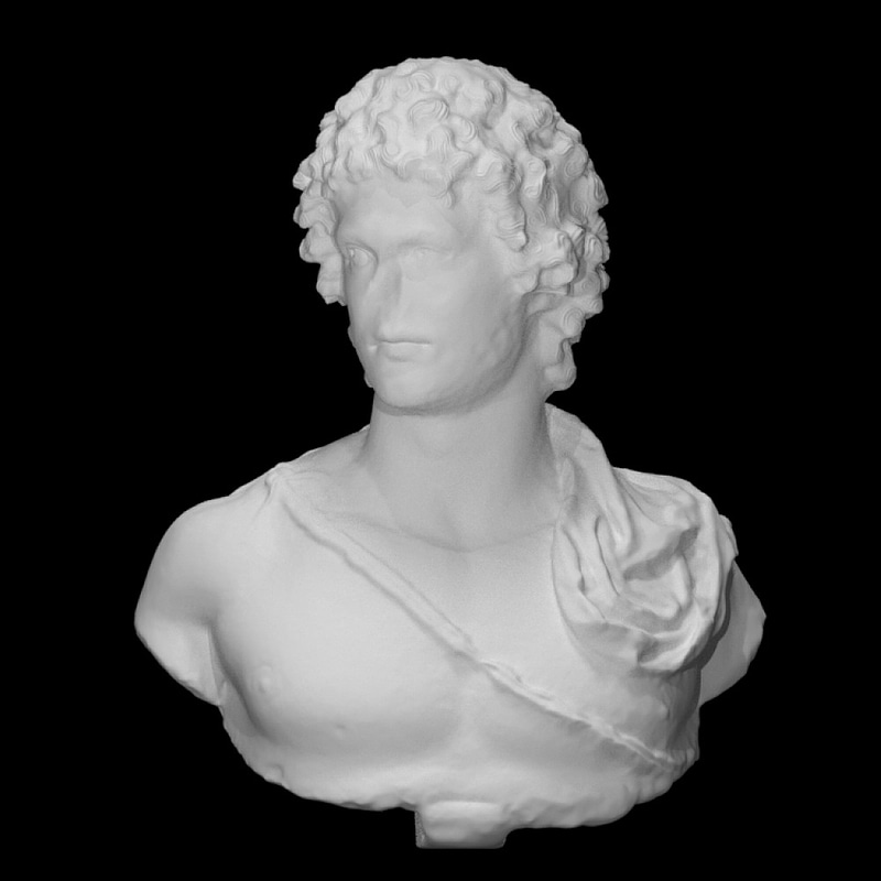 Marble portrait bust of a young man