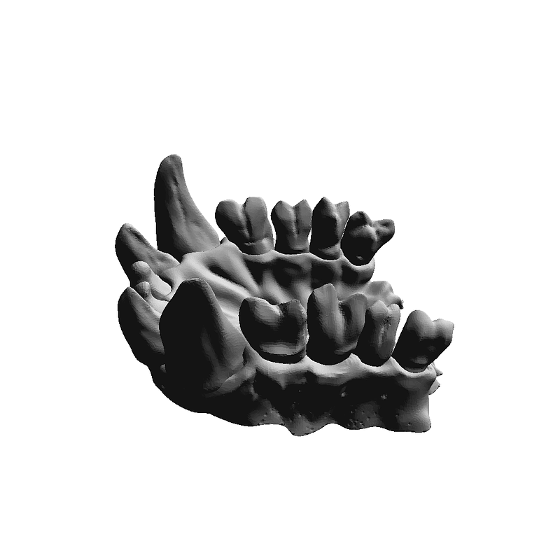 Thumb 12