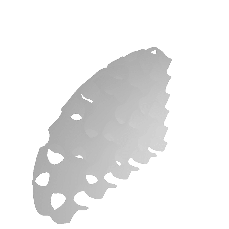 Thumb 12