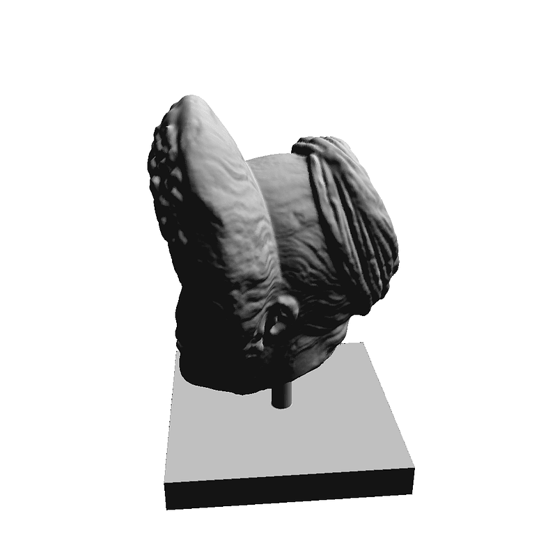 Thumb 1