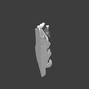Thumb 1