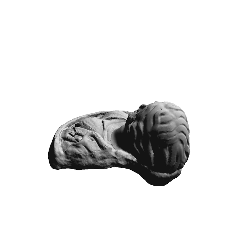 Thumb 6