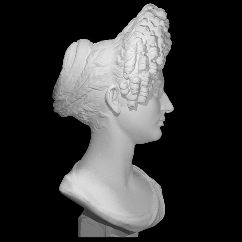 Portrait Bust of a Flavian Woman, The "Fonseca Bust"