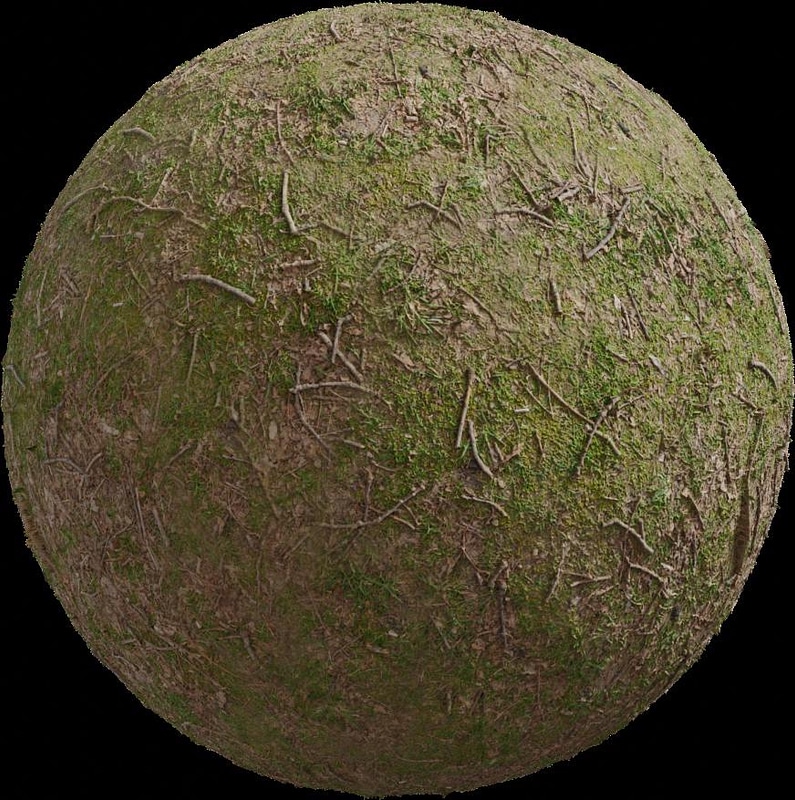 Forrest Ground