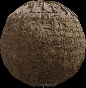 Reed Roof
