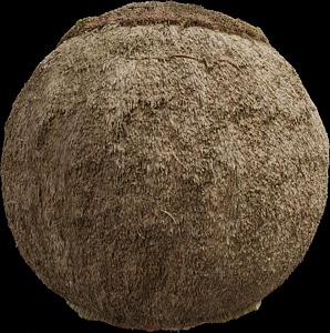 Reed Roof