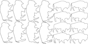 image_processing20220613-13911-r3q7dl.jpg