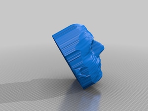 image_processing20220613-13911-1v5zchx.jpg