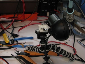 image_processing20220613-13911-haubq1.jpg