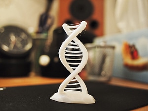 image_processing20220613-13911-7cdzjs.jpg