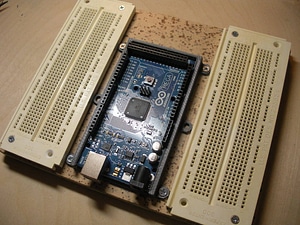 image_processing20220613-13911-1ueemf0.jpg