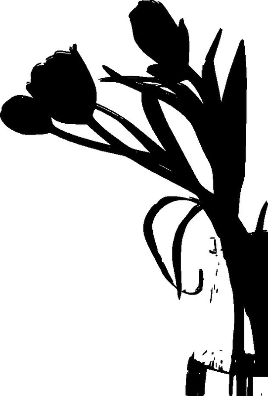 image_processing20220613-13911-1x710rw.jpg