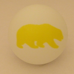 California Golden Bear