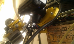 image_processing20220613-13911-1h3he55.jpg