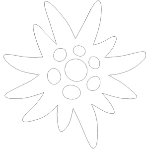 image_processing20220614-13911-1t6k469.jpg